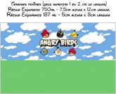Rótulo personalizado para Espumante Angry Birds