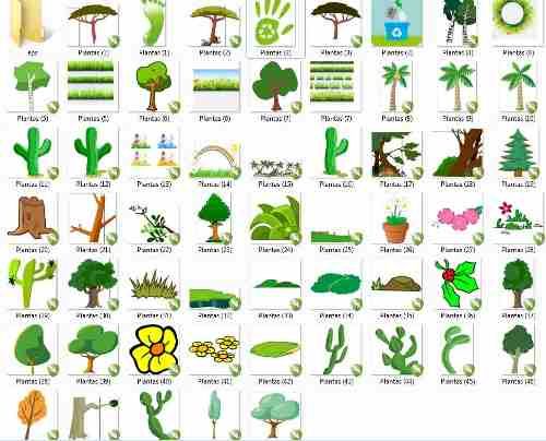 Vetores E Imagens Plantas