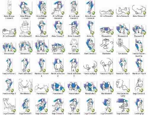 Vetores E Imagens Body Language